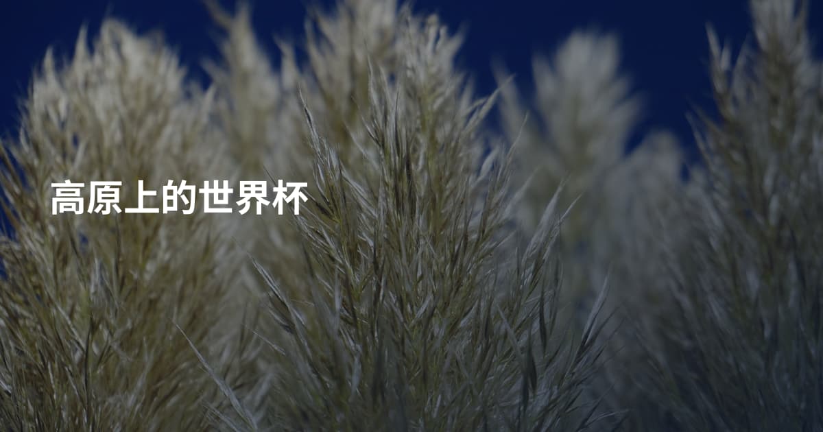 高原上的世界杯