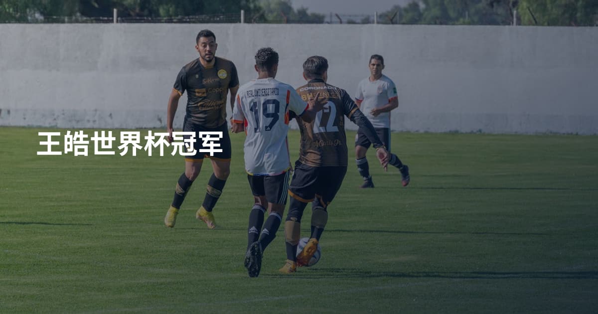 王皓世界杯冠军