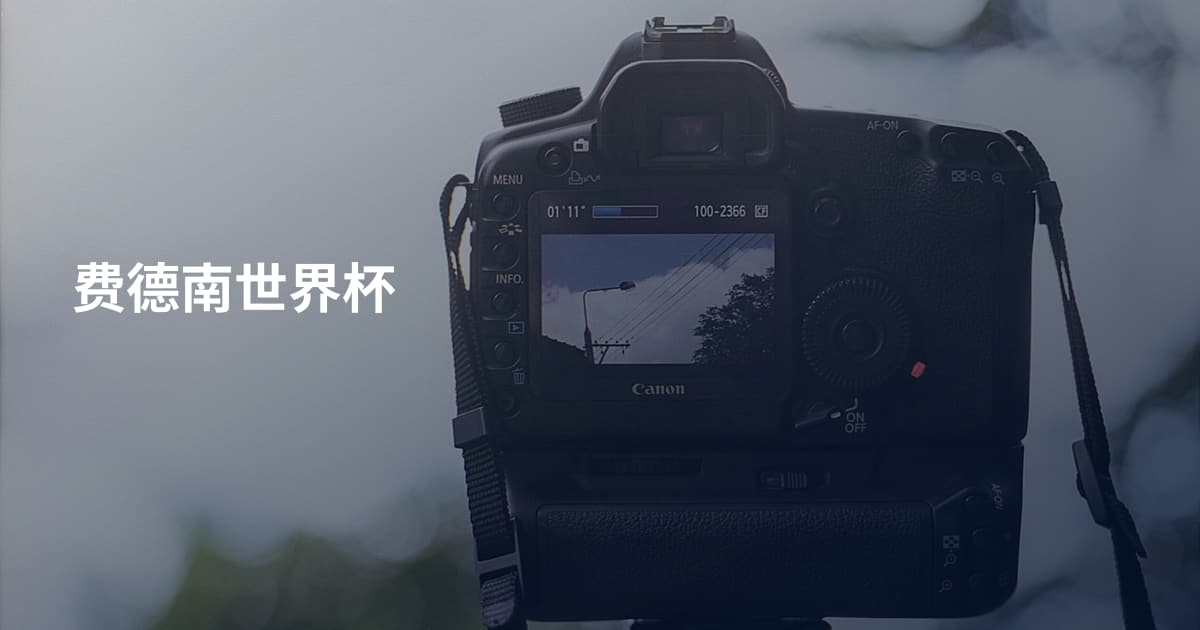 费德南世界杯