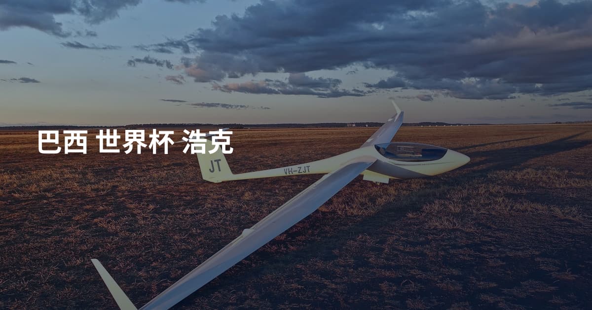 巴西 世界杯 浩克