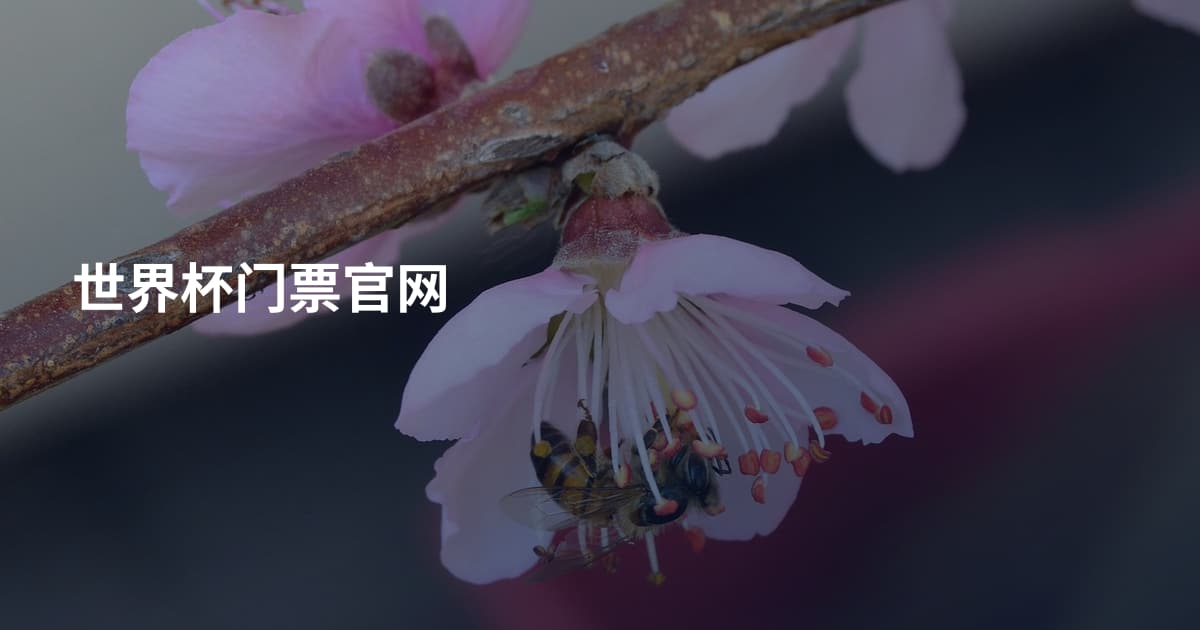 世界杯门票官网