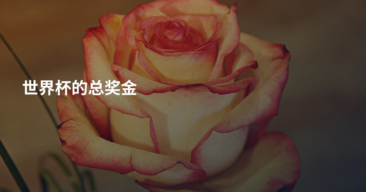 世界杯的总奖金