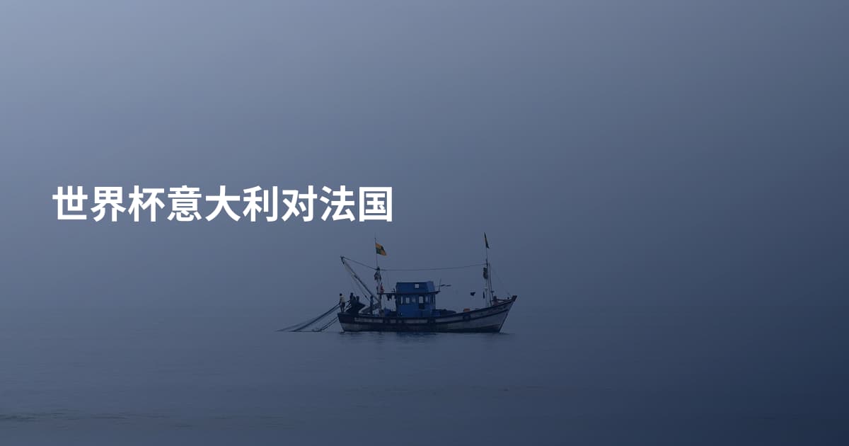 世界杯意大利对法国