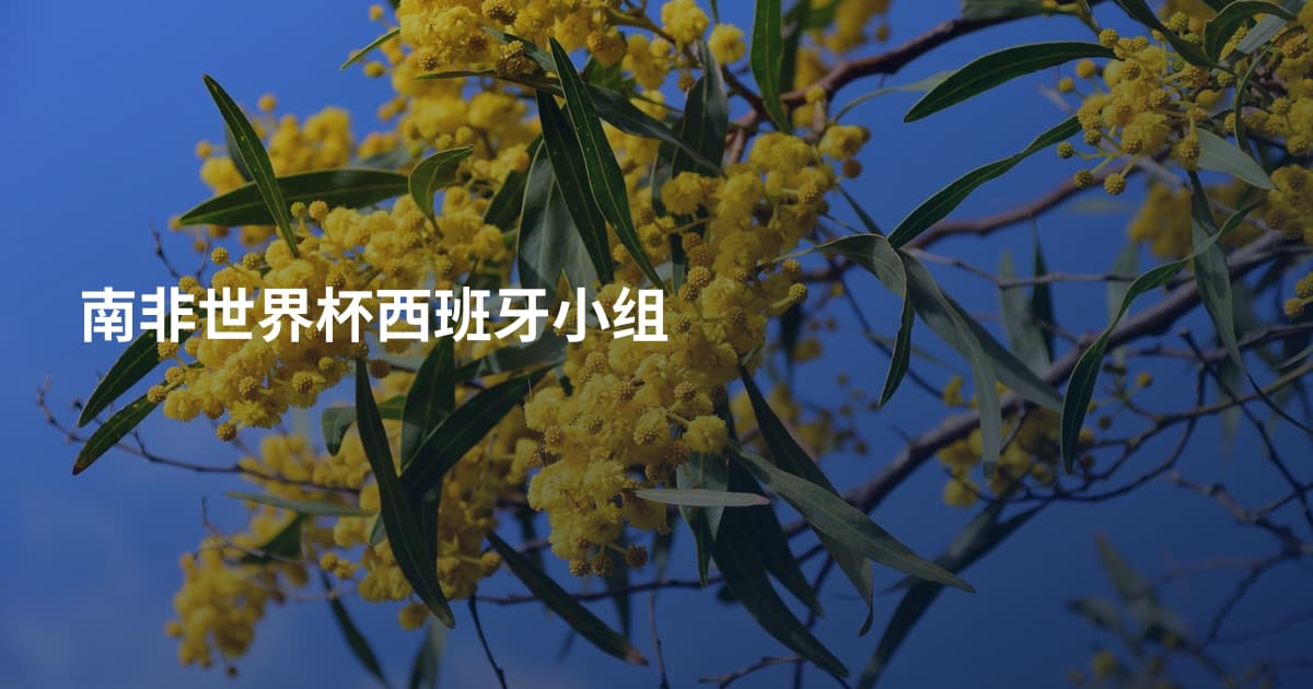 南非世界杯西班牙小组