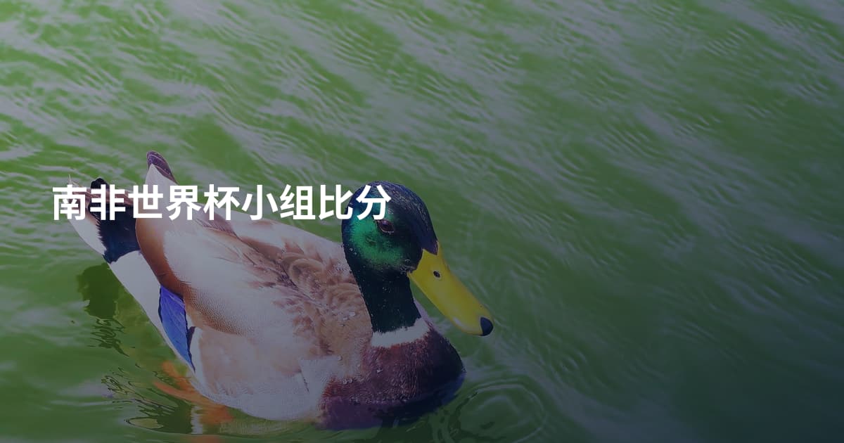 南非世界杯小组比分