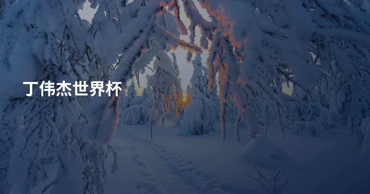 丁伟杰世界杯