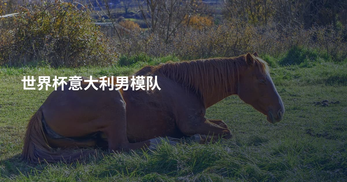 世界杯意大利男模队