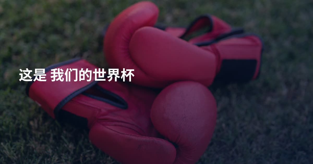 这是 我们的世界杯