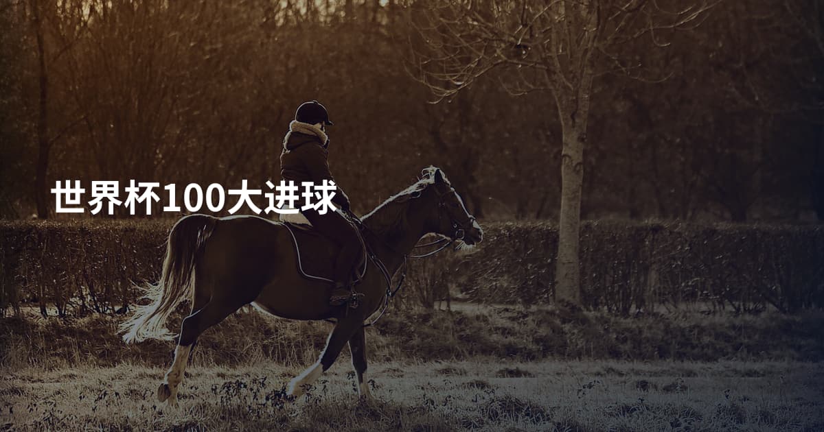 世界杯100大进球