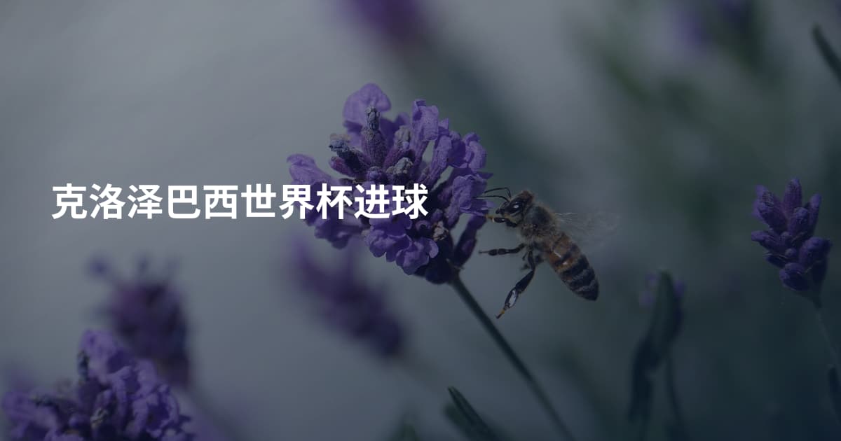 克洛泽巴西世界杯进球