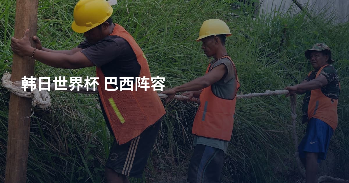 韩日世界杯 巴西阵容