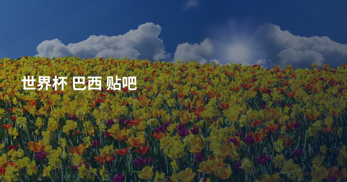 世界杯 巴西 贴吧