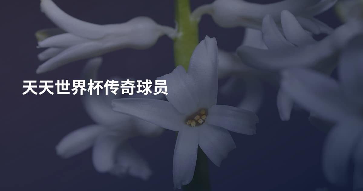 天天世界杯传奇球员