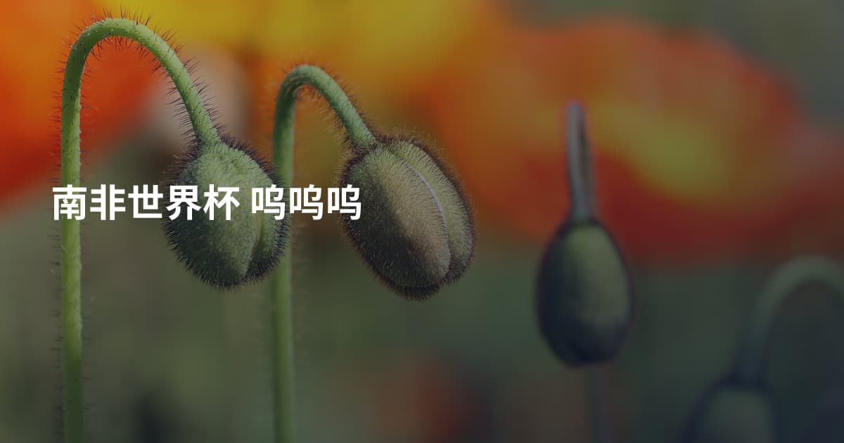 南非世界杯 呜呜呜