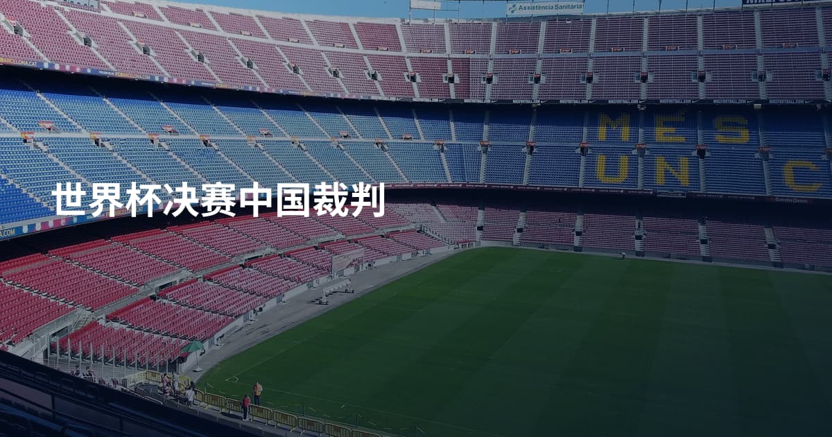 世界杯决赛中国裁判