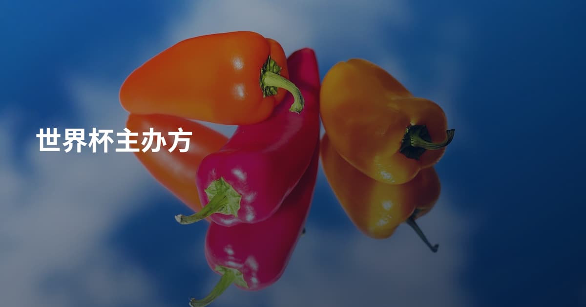 世界杯主办方