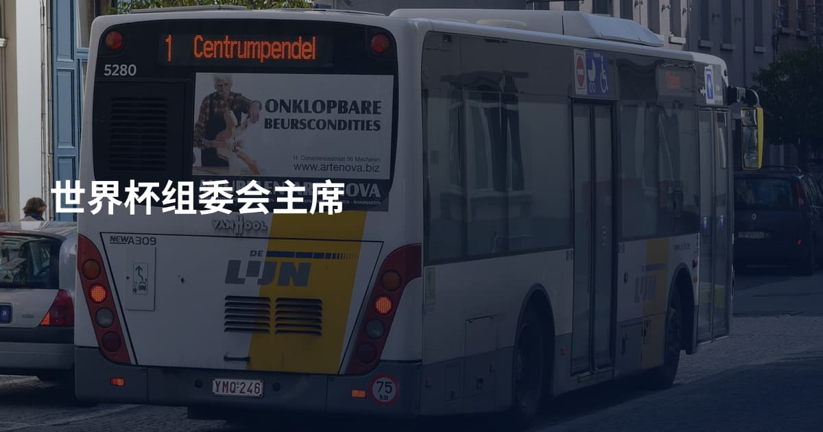 世界杯组委会主席
