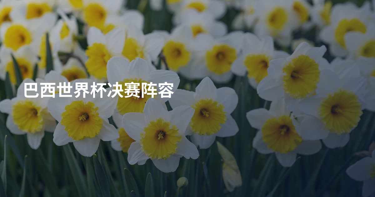 巴西世界杯决赛阵容