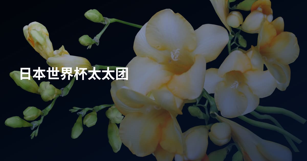 日本世界杯太太团
