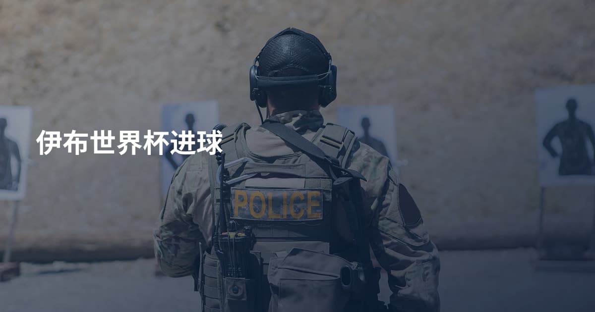 伊布世界杯进球