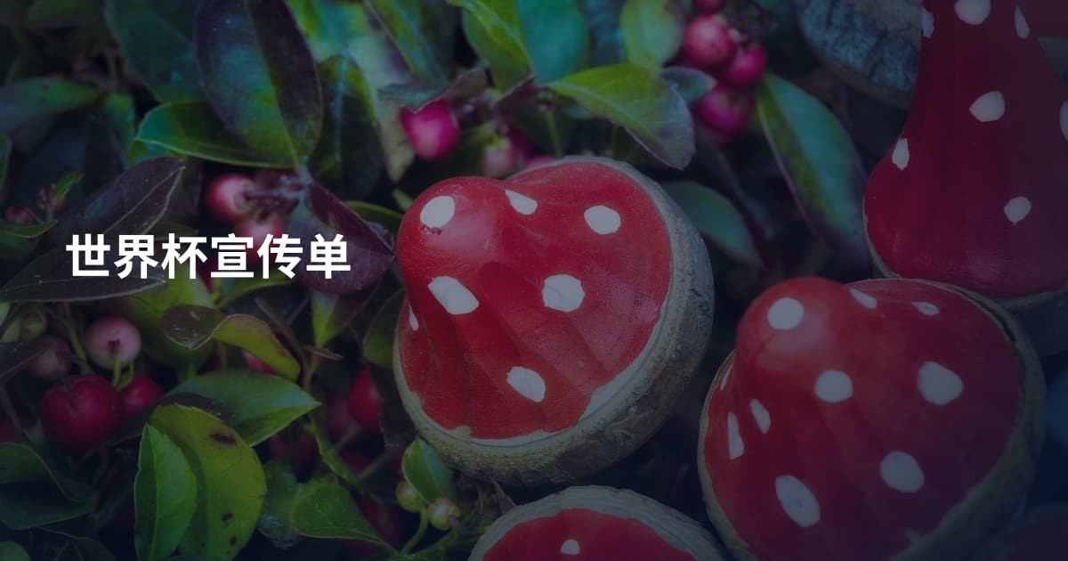 世界杯宣传单
