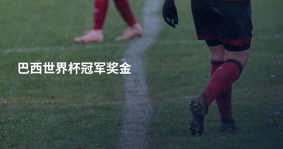 巴西世界杯冠军奖金