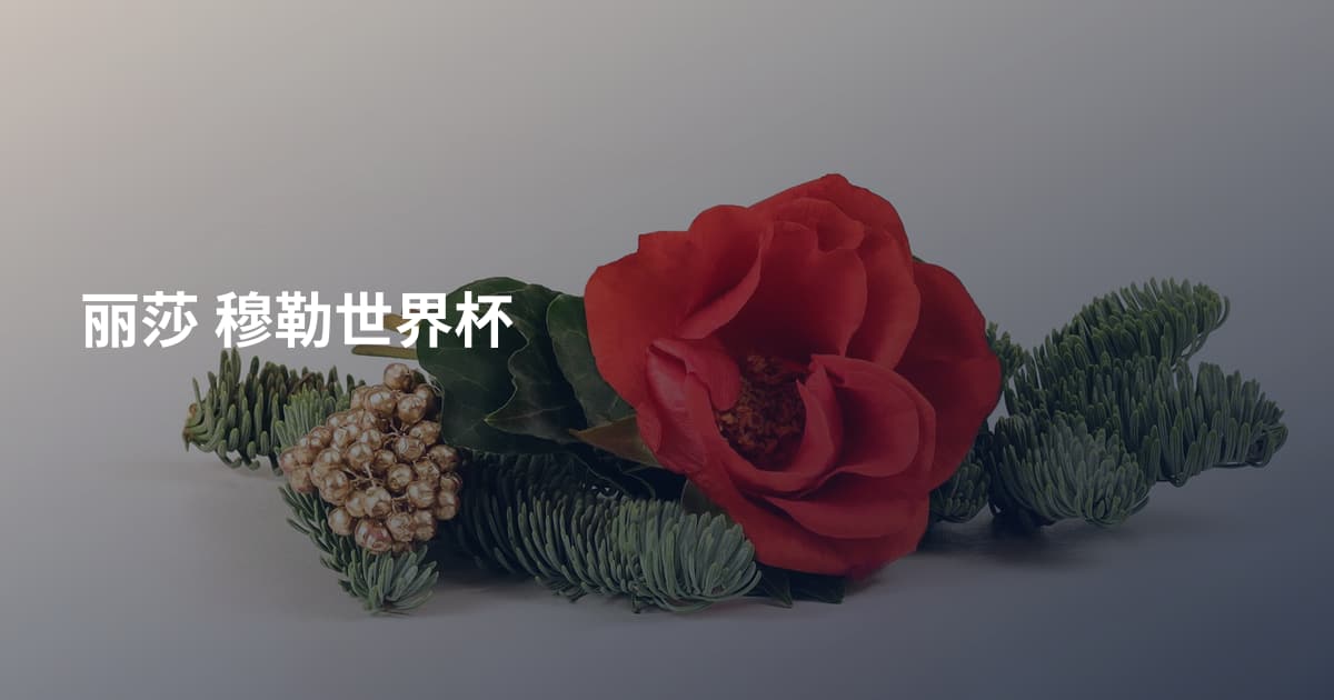 丽莎 穆勒世界杯