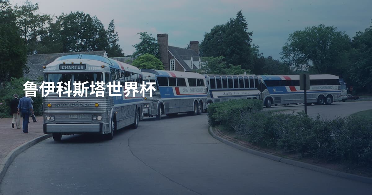 鲁伊科斯塔世界杯