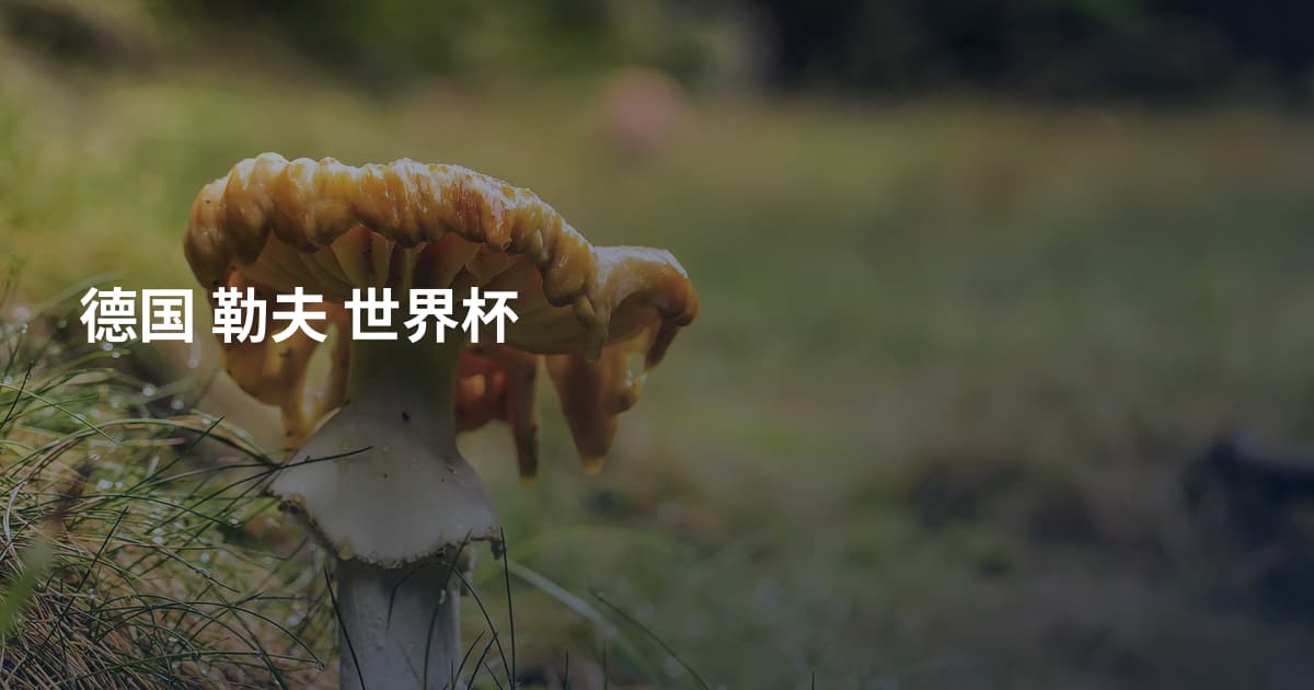 德国 勒夫 世界杯