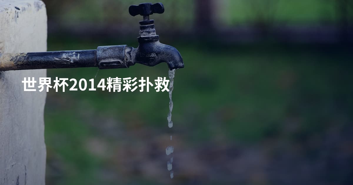世界杯2014精彩扑救