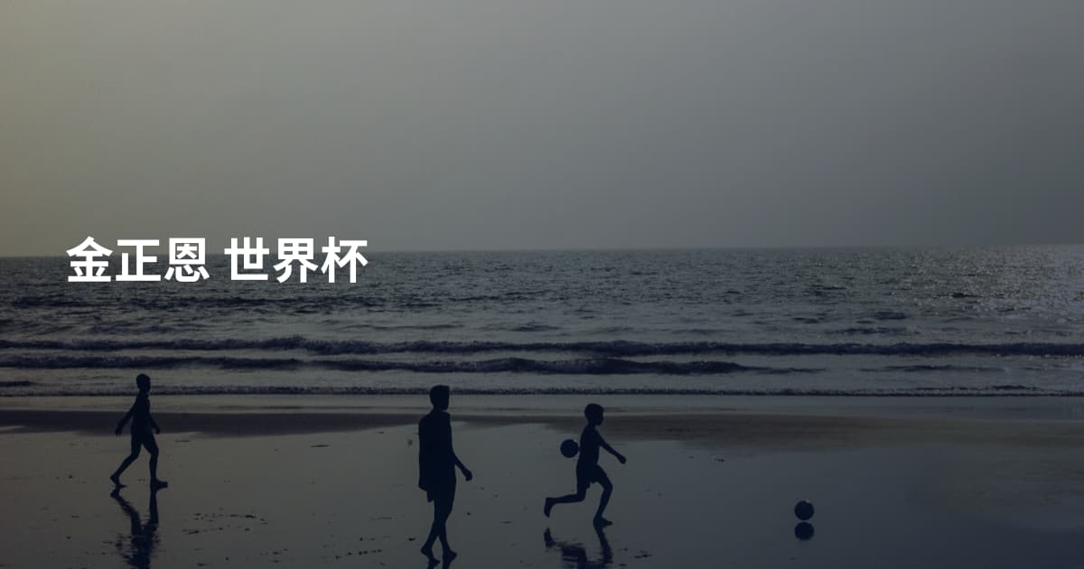金正恩 世界杯