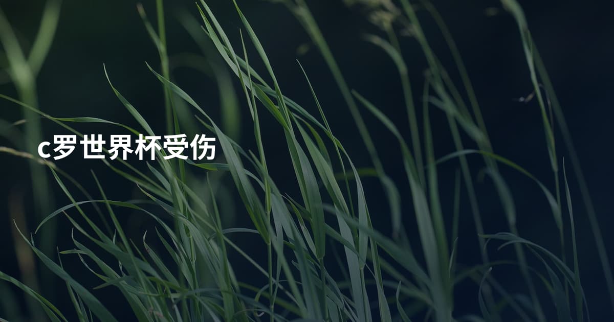 c罗世界杯受伤