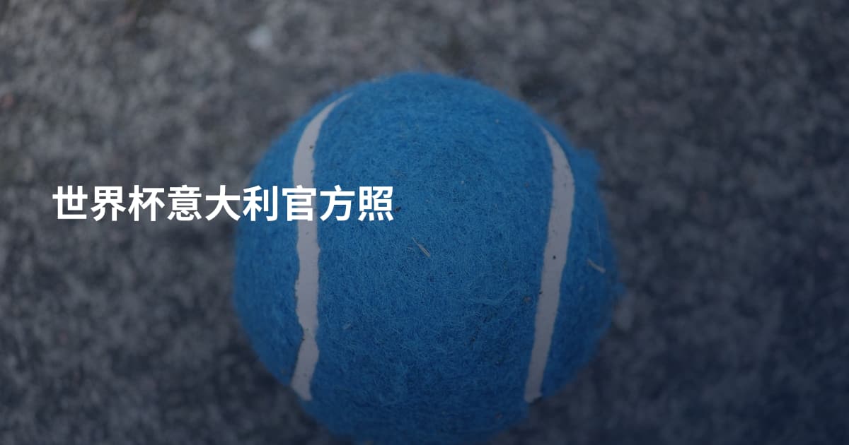 世界杯意大利官方照