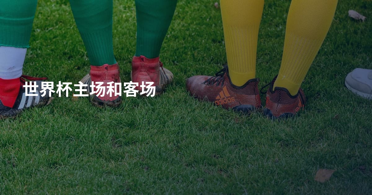 世界杯主场和客场