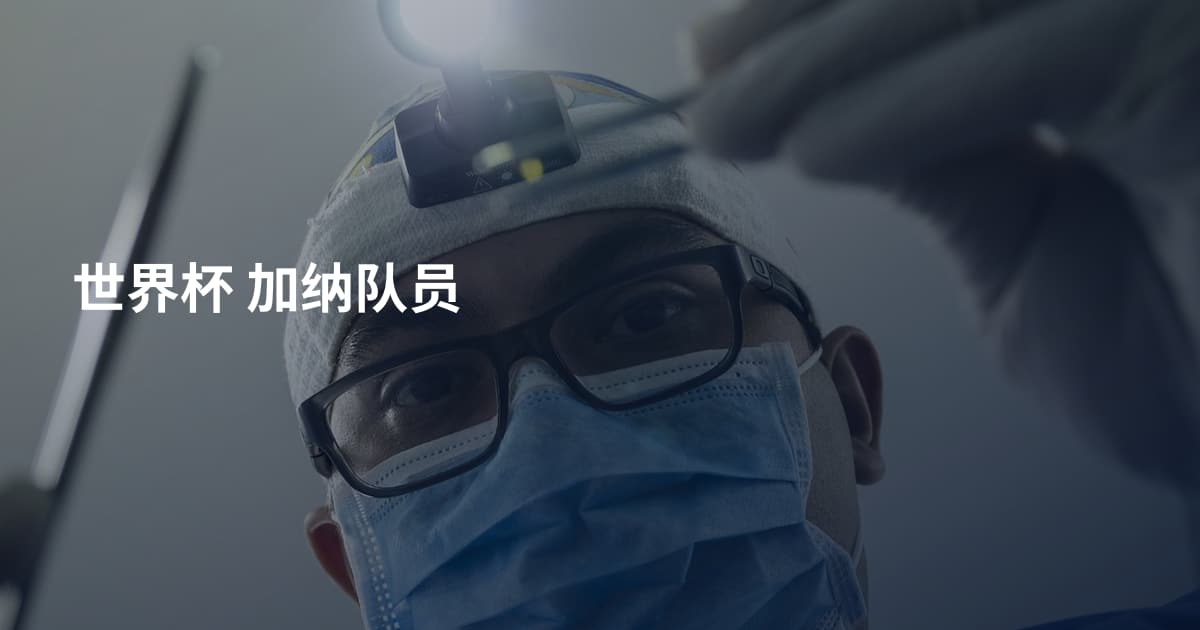 世界杯 加纳队员