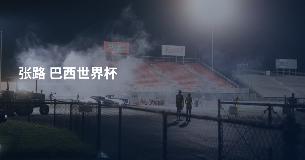 张路 巴西世界杯