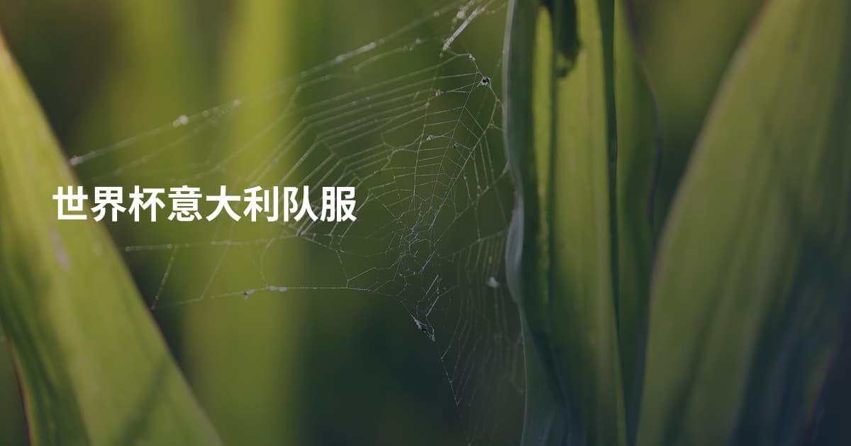 世界杯意大利队服