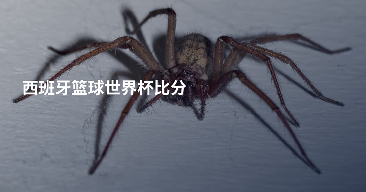 西班牙篮球世界杯比分