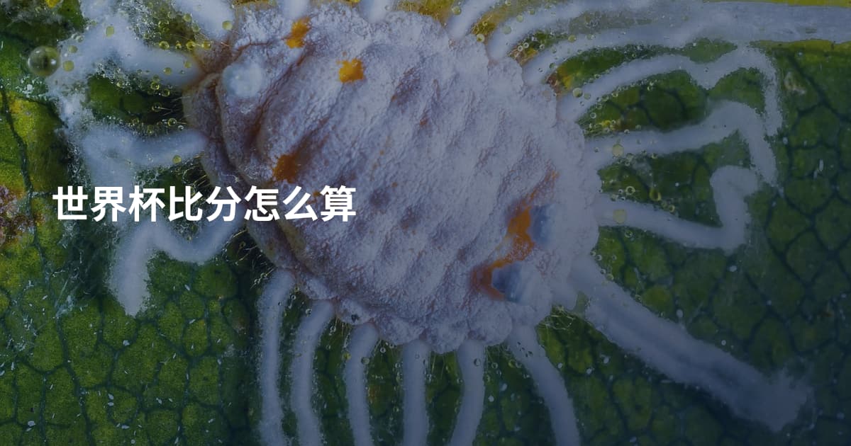 世界杯比分怎么算