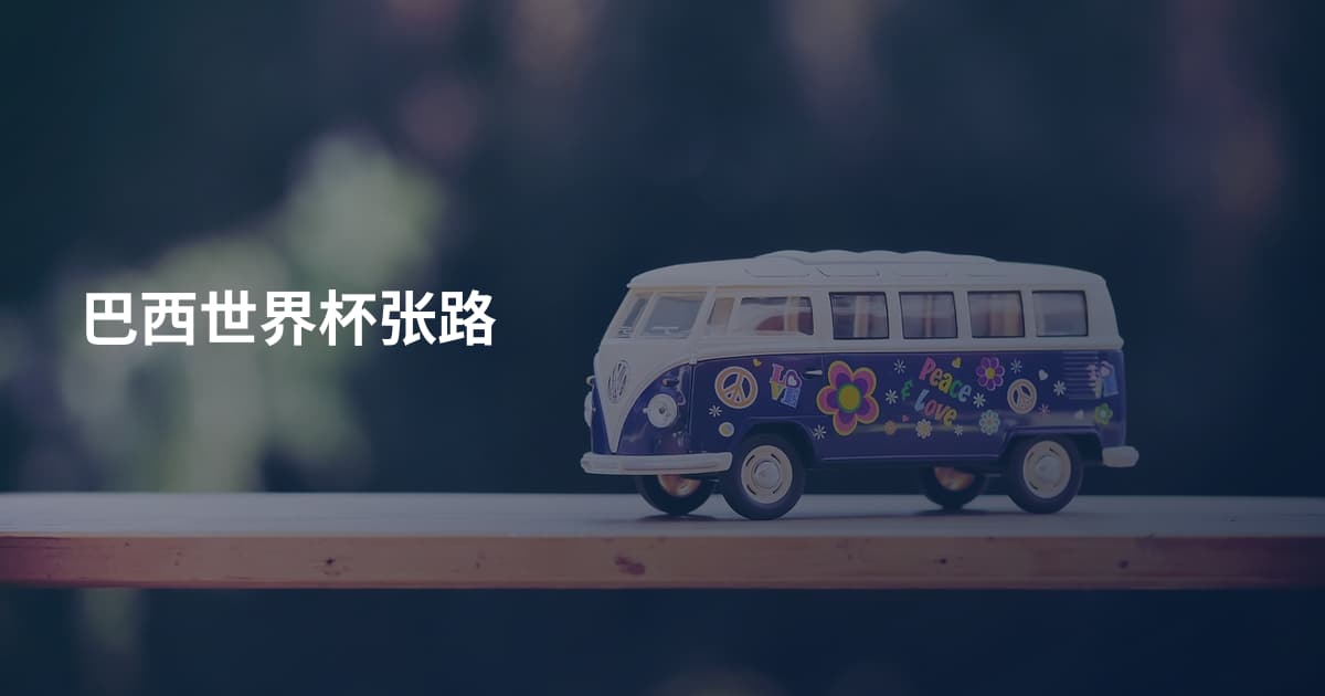巴西世界杯张路
