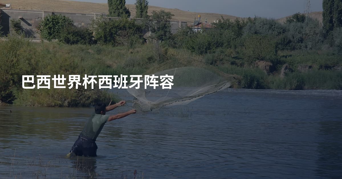 巴西世界杯西班牙阵容