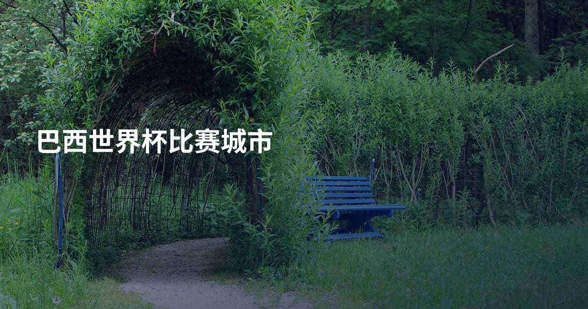 巴西世界杯比赛城市
