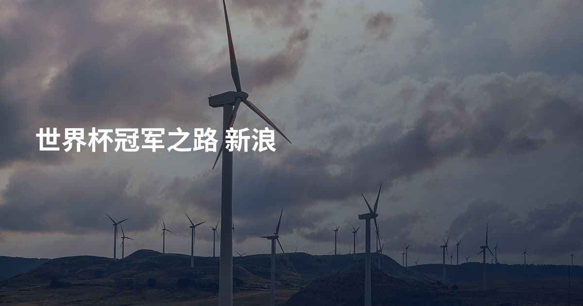 世界杯冠军之路 新浪