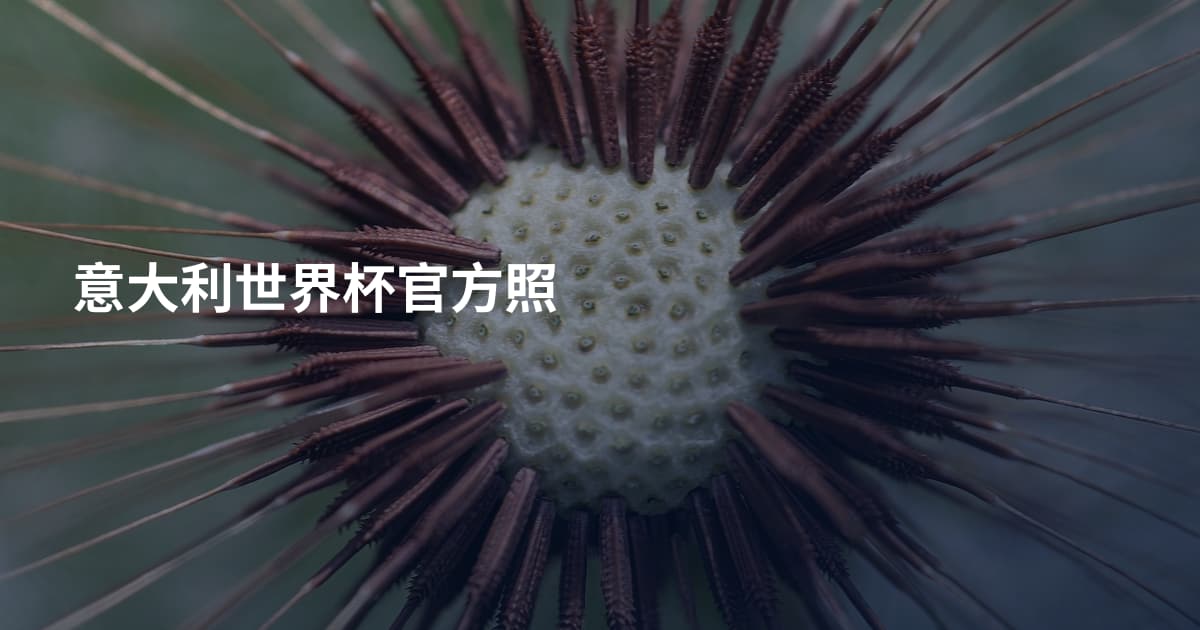 意大利世界杯官方照