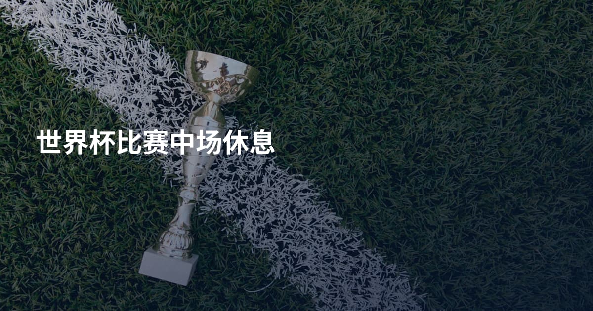 世界杯比赛中场休息