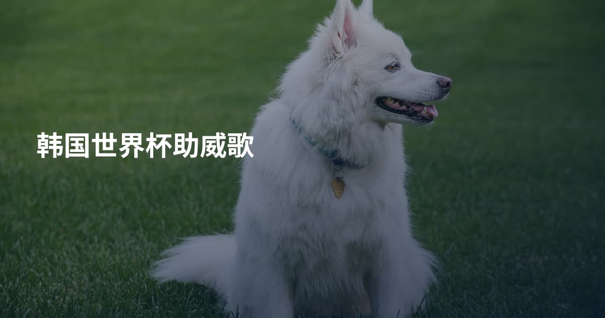 韩国世界杯助威歌
