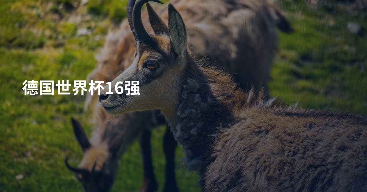 德国世界杯16强
