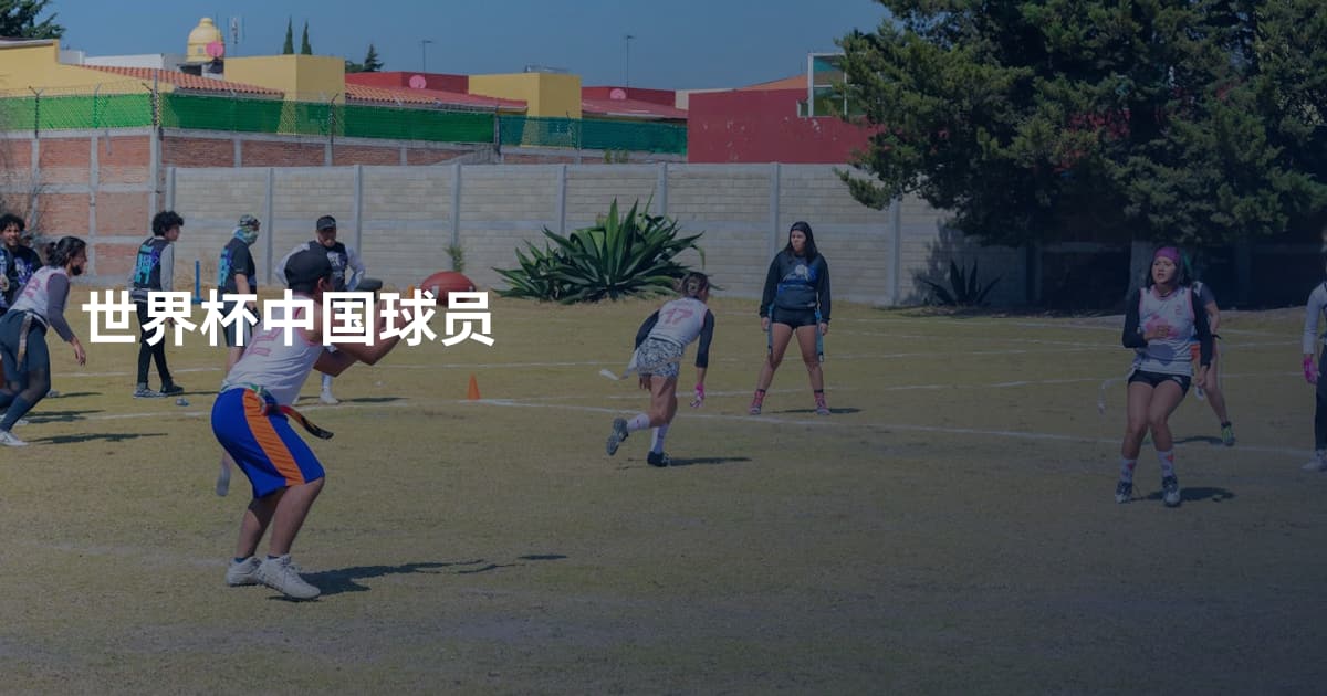 世界杯中国球员