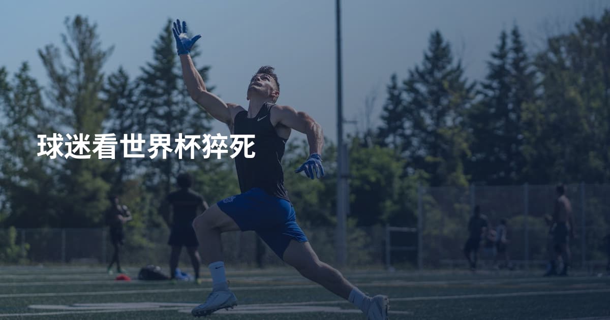 球迷看世界杯猝死