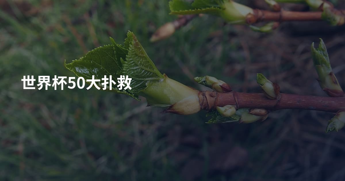 世界杯50大扑救